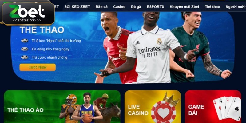 Điều khoản và điều kiện tại Zbet chỉ chấp nhận hội viên đủ tuổi hợp lệ